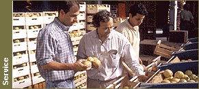 Antoine Guccione et le producteur d'Agrinova Marcello Eberle contrôlent les caisses avant leur expédition du village d'Acireale en Sicile